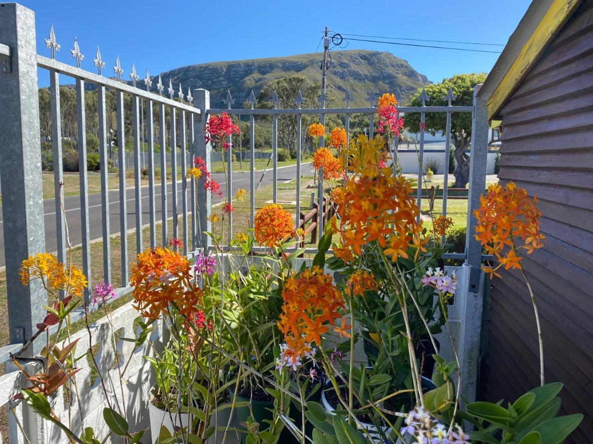 Hermanus 60 On Flat 外观 照片